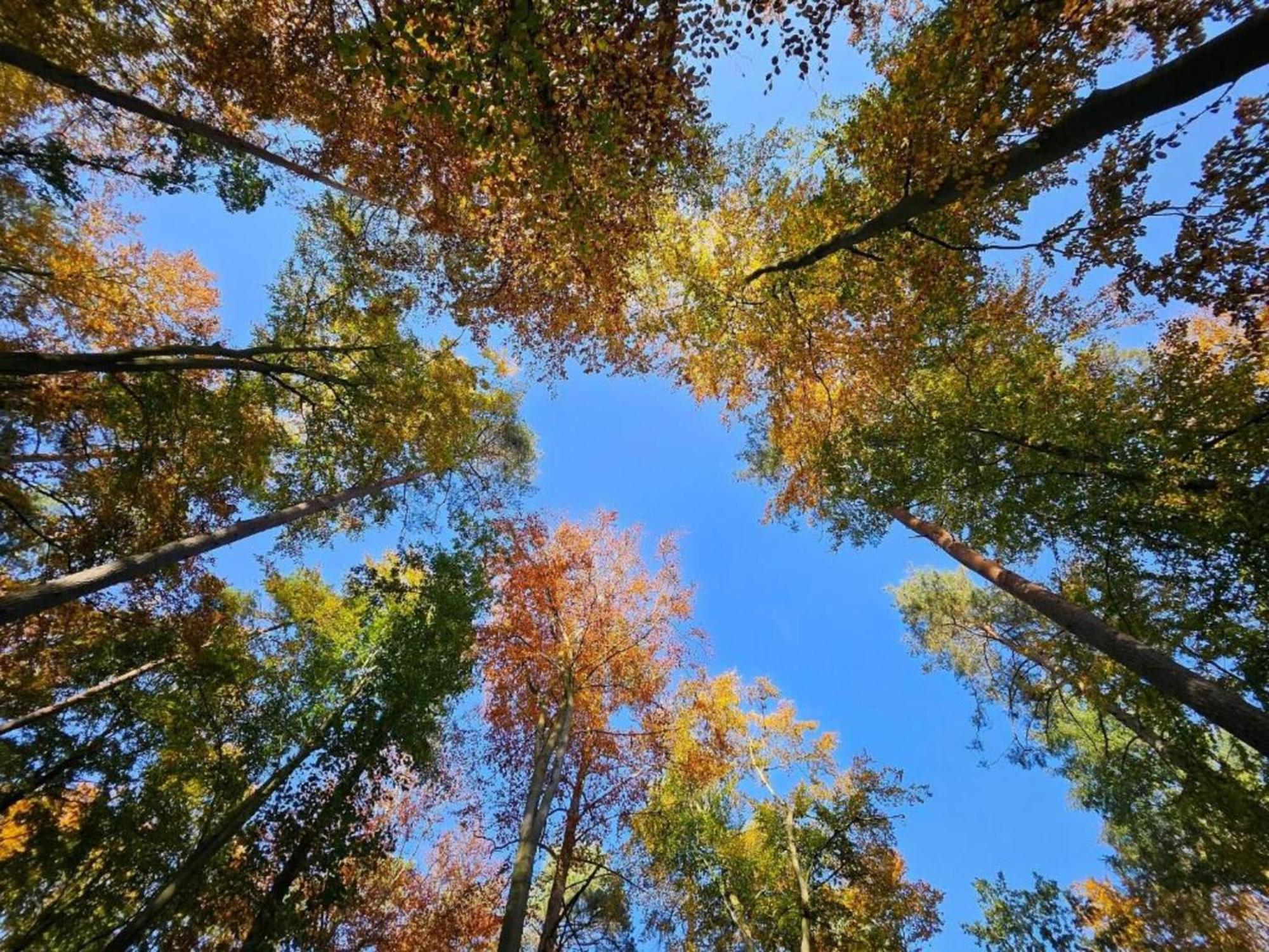 Ferienpark Mueritz In Rechlin-Nord Екстериор снимка